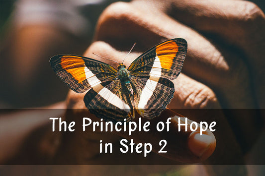 The Principle of Hope in Step 2