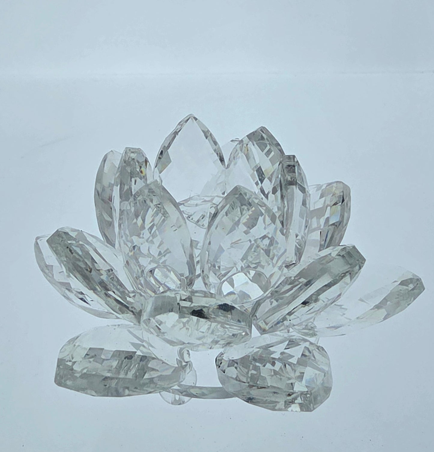Clear Crystal Flower AA Coin Holder