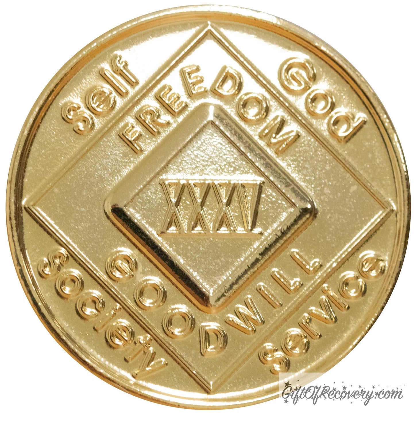 Clean Time Chip Narcotics Anonymous Gold Plate