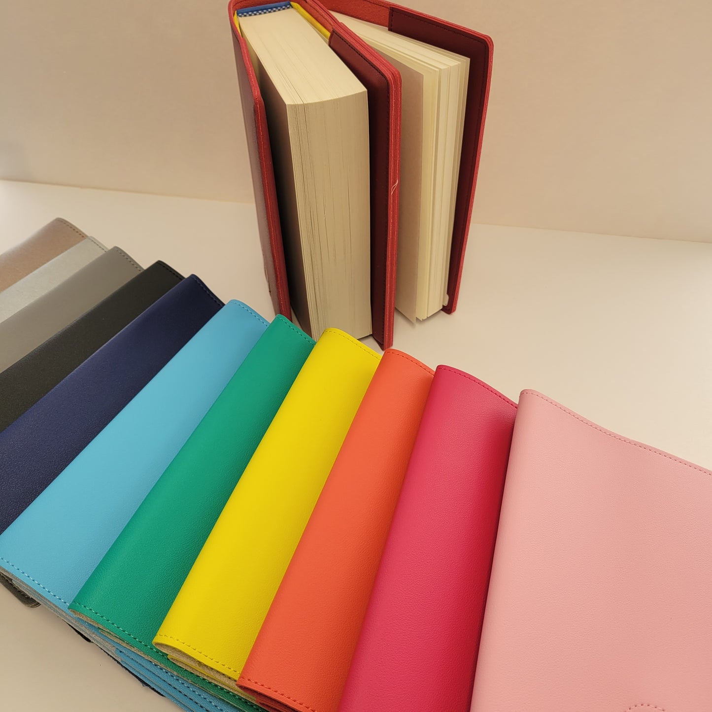 Double Book Cover with Coin Holder for Big Book and 12n12