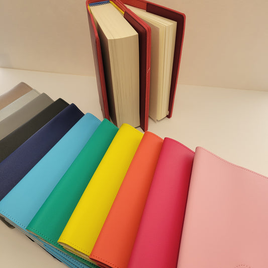 Double Book Cover with Coin Holder for Big Book and 12n12
