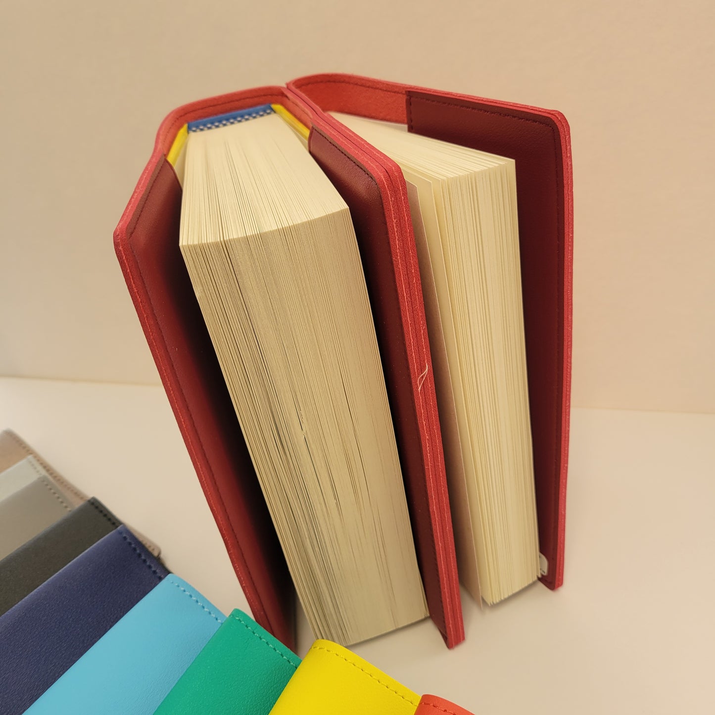 Double Book Cover with Coin Holder for Big Book and 12n12
