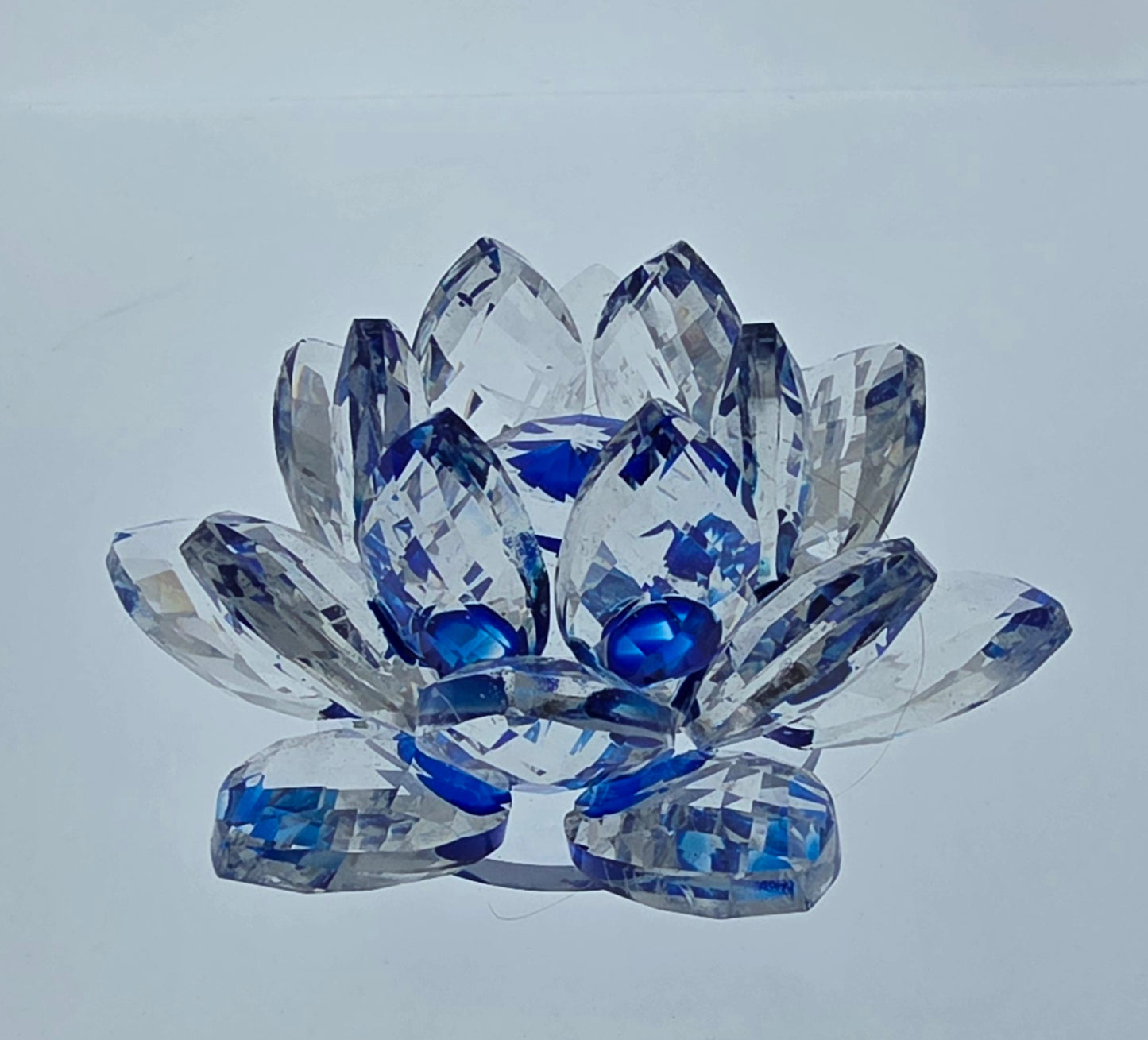 Blue Crystal Flower AA Coin Holder