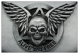 AA Recovery Lapel Pins – Sobriety Symbol Pins – Surrender, Angel Wings, Skull, Gold Winged Recovery Symbol, Love and service, AA Rhinestone-Recovery Gifts