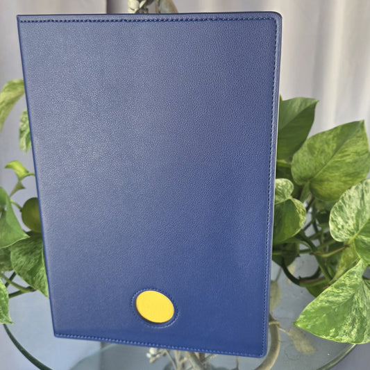 Blue Double AA Big Book Cover | Large Print Big Book & 12 and 12 Cover