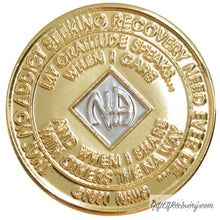 Load image into Gallery viewer, Clean Time Chip Narcotics Anonymous Biplate Medallion
