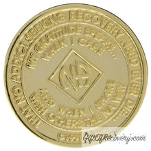 Load image into Gallery viewer, Clean Time Chip Narcotics Anonymous Gold Plate
