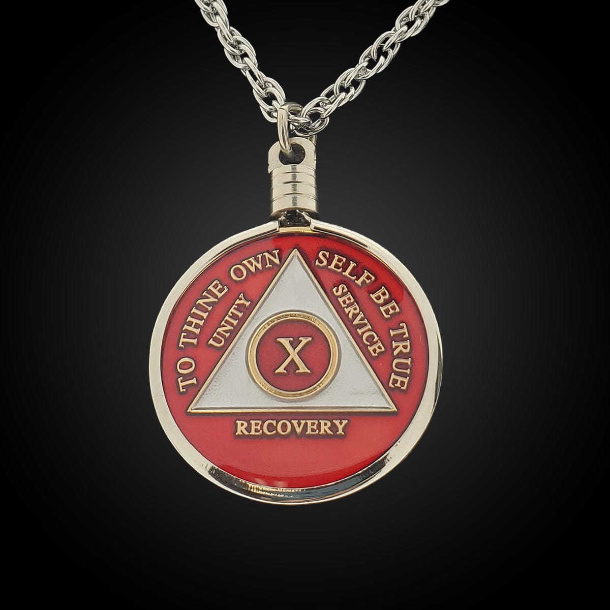 Medallion Necklace Holder Silver