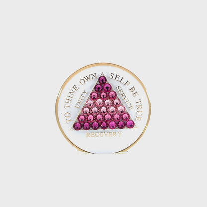 Hey Sis Abbey Fickley Crystalized Sobriety Coin (TT)