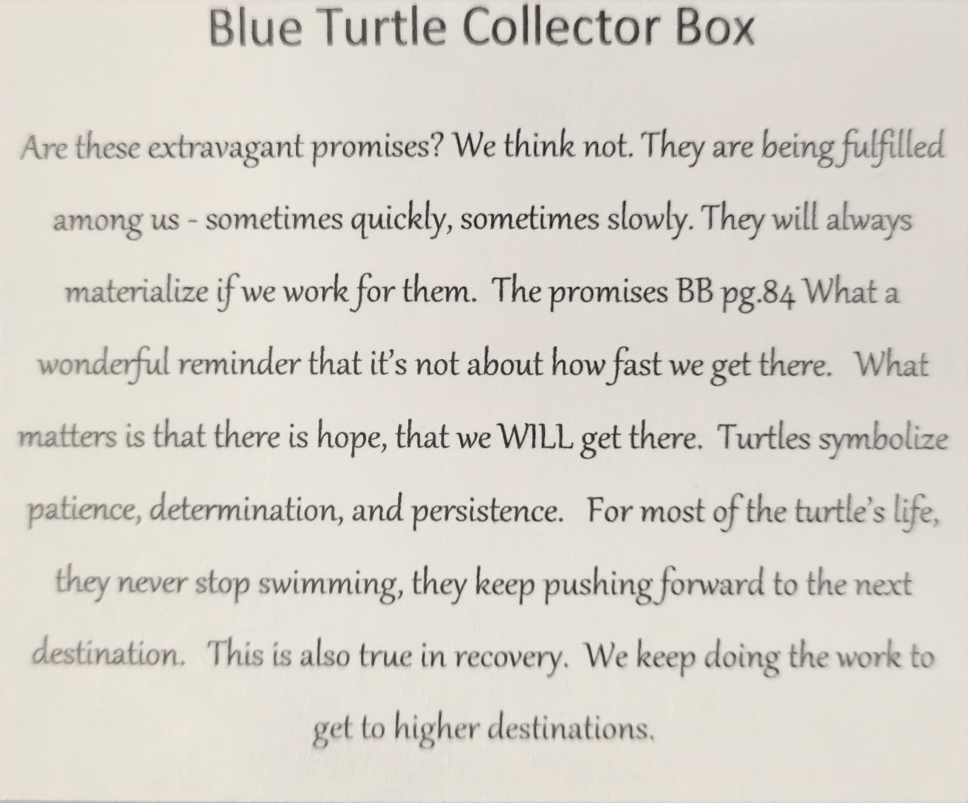 Sober Turtle Blue Collector Bling Box/Sobriety Chip Holder (With Chip)