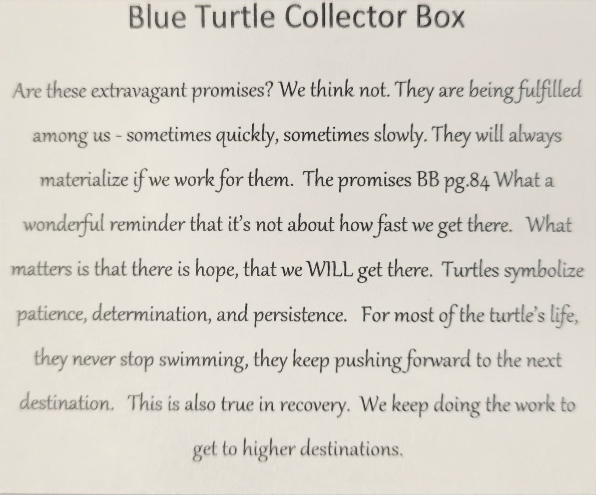 Sober Turtle Blue Collector Bling Box/Sobriety Chip Holder (With Chip) -  Gift of Recovery