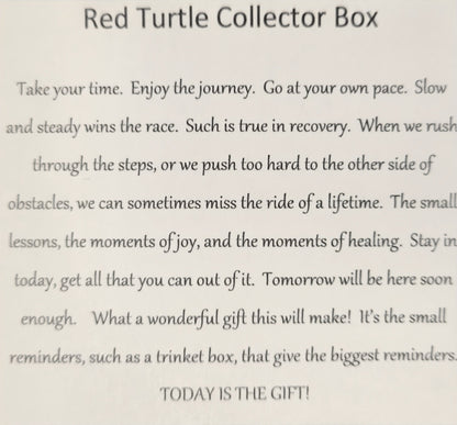Sober Turtle Red Collector Bling Box/Sobriety Chip Holder (With Chip)