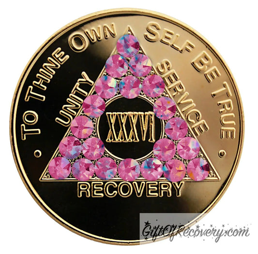 Sobriety Chip AA Gold Pink Girly Girl